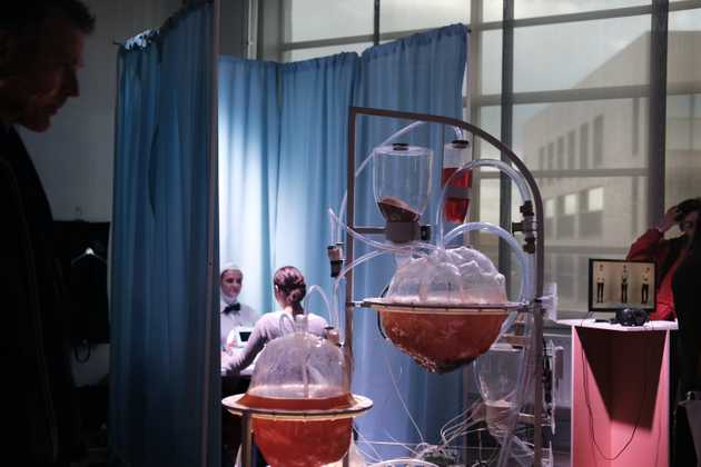 image of an experiment